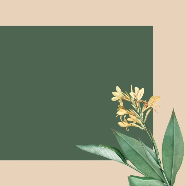 Tischset Tropischer Dschungel beige