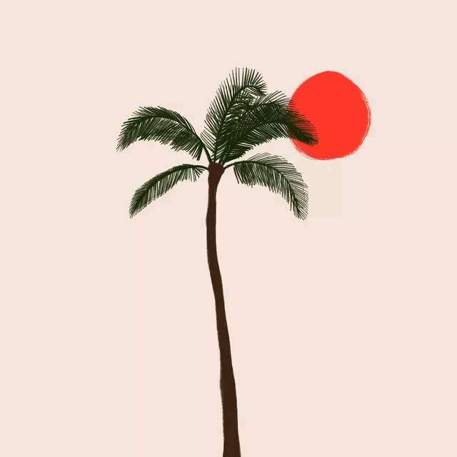Kissen Palme und Sonne Rosa