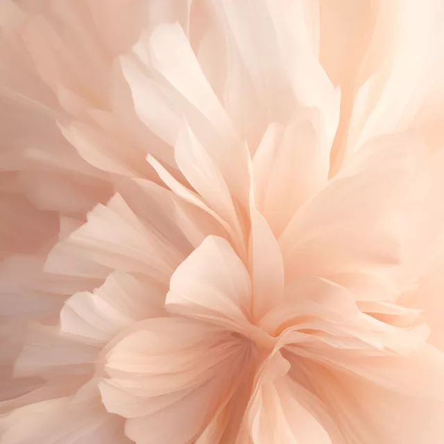 Bettwäsche Bloom Brushwork Peach