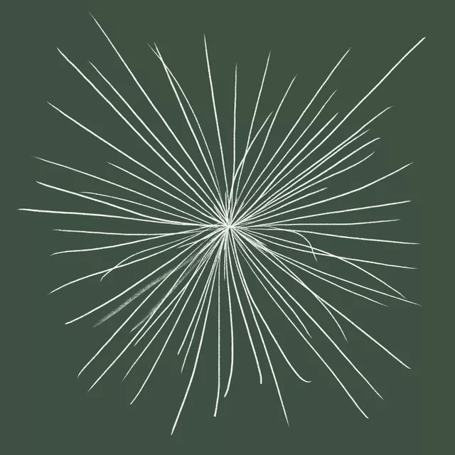 Servietten Kiefer Stern