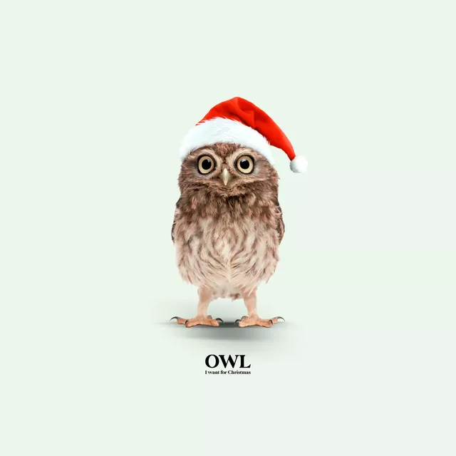 Kissen Owl I Want For Christmas