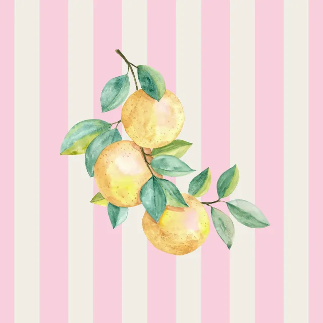 Geschirrtücher Orangen rosa Streifen