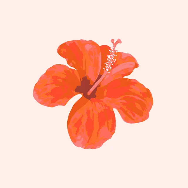 Kissen Tropical Hibiscus Flower