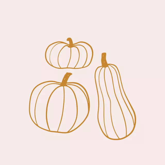 Kissen Kürbis Gelb Beige Wendekissen