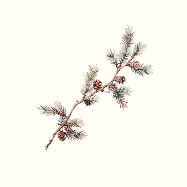 Tischdecke Cozy Xmas Tannenzweig