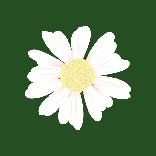Kissen Daisy green
