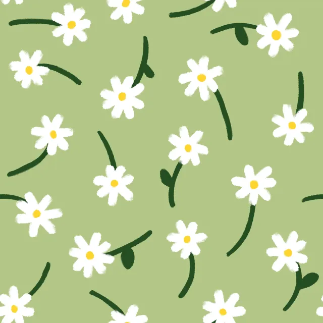 Raffrollo Gänseblümchen