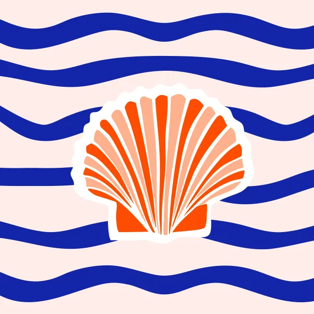 Tischset Coastal summer Muschel