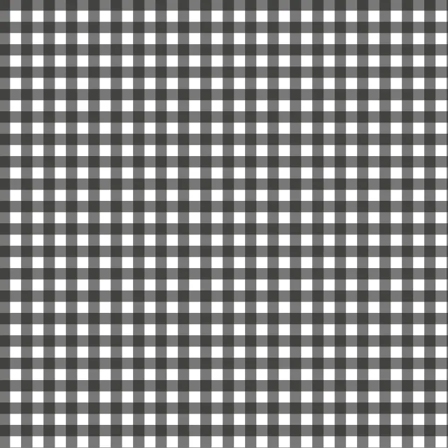 Kissen Mistletoe Gingham Schwarz Weiß