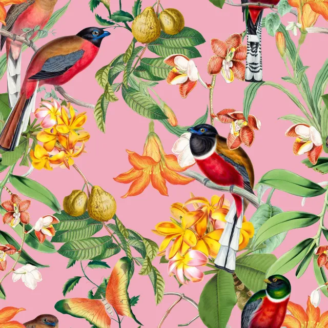 Tropischer Dschungel Sommer