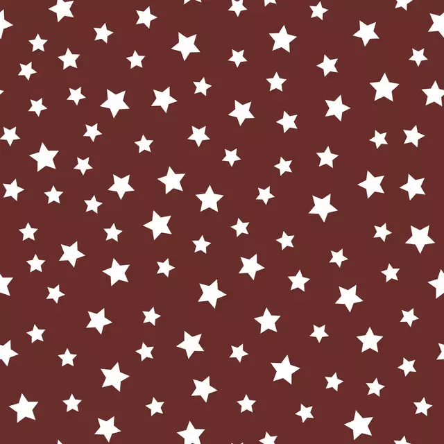 Tischset Winter Stars brick red