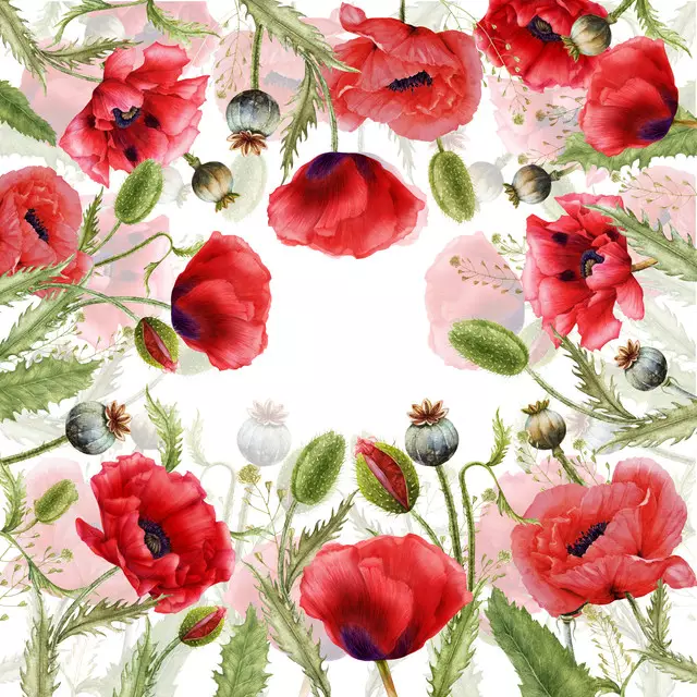 Kissen Mohn Feld