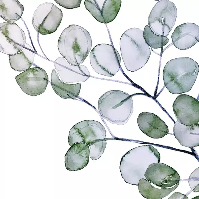 Tischläufer Eukalyptus Watercolor