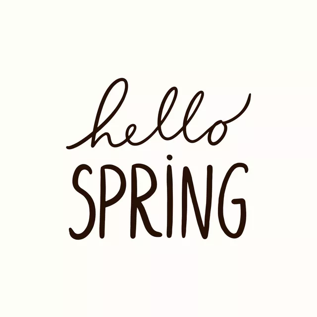 Kissen Hello Spring typo