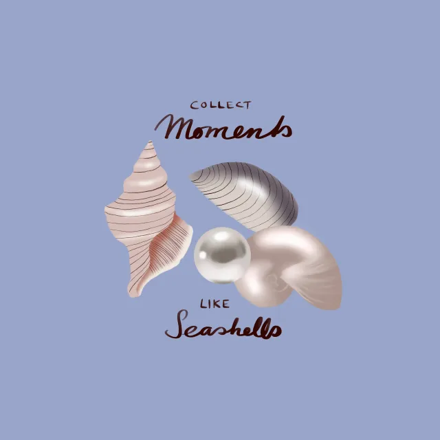 Kissen Muscheln Collect Moments