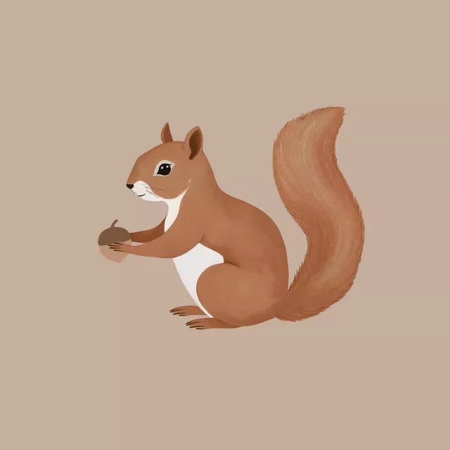 Tischset Eichhörnchen