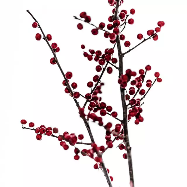 Tischset Red Berries