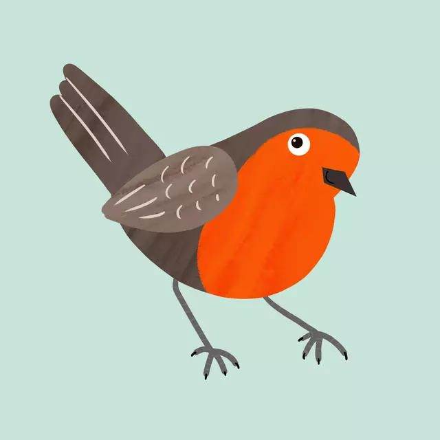 Tischset Neugieriges Rotkehlchen