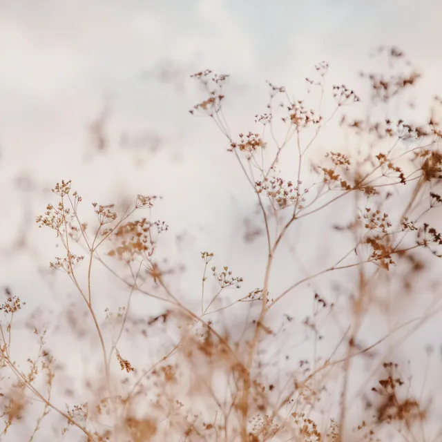 Tischdecke Herbstliche Blumen Pastel