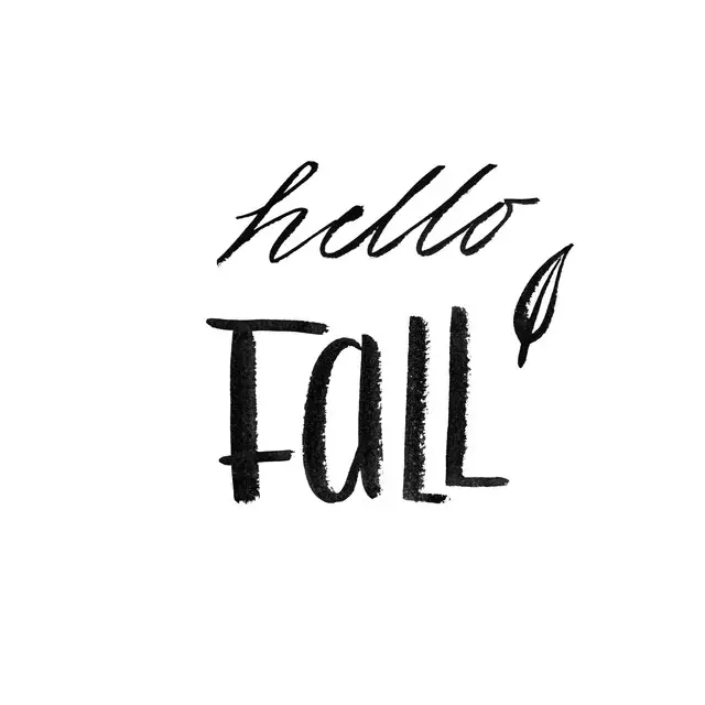 Kissen Hello Fall sw