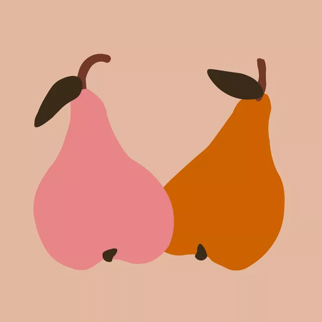 Kissen Zwei Birnen Pink Orange