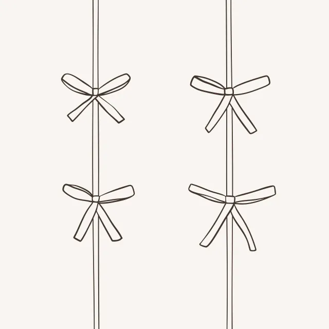 Servietten Schleifen schwarz