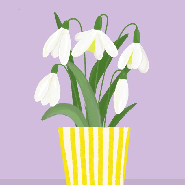 Tischset Schneeglöckchen