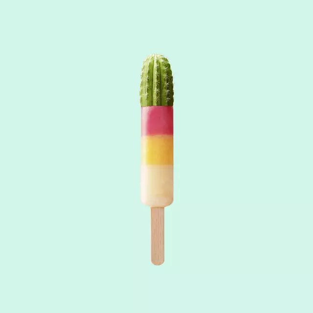 Kissen Cactus Popsicle