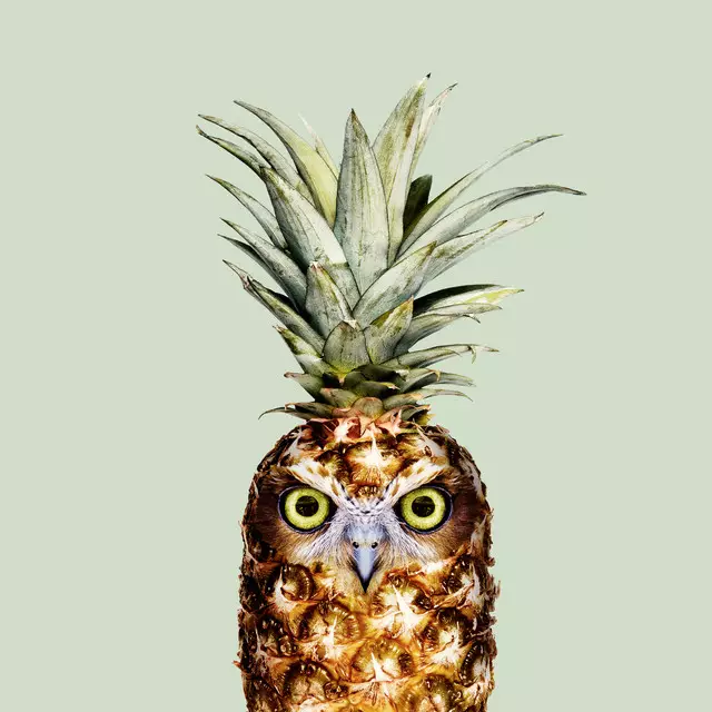 Servietten Pineappleowl