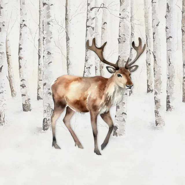 Tischset Winterwald Rentier Hirsch