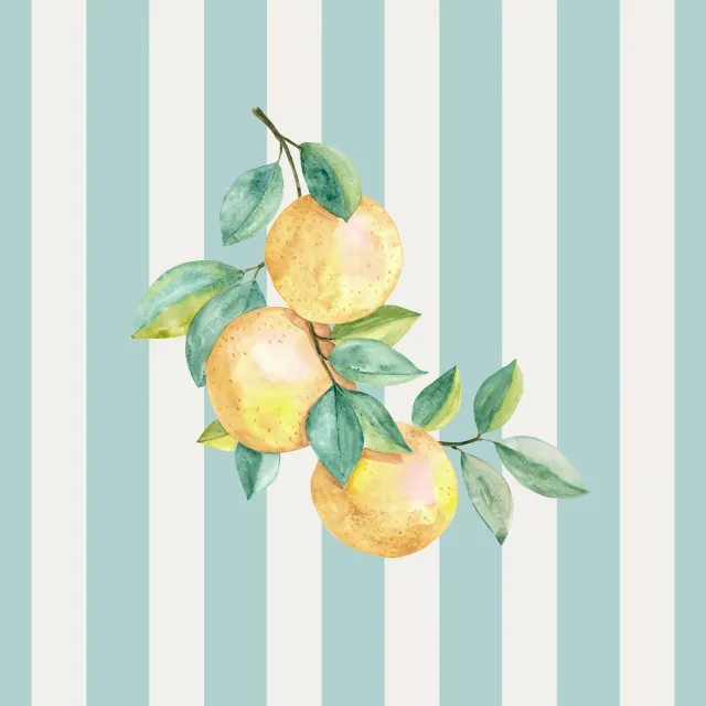 Geschirrtücher Orangen icy morn Streifen