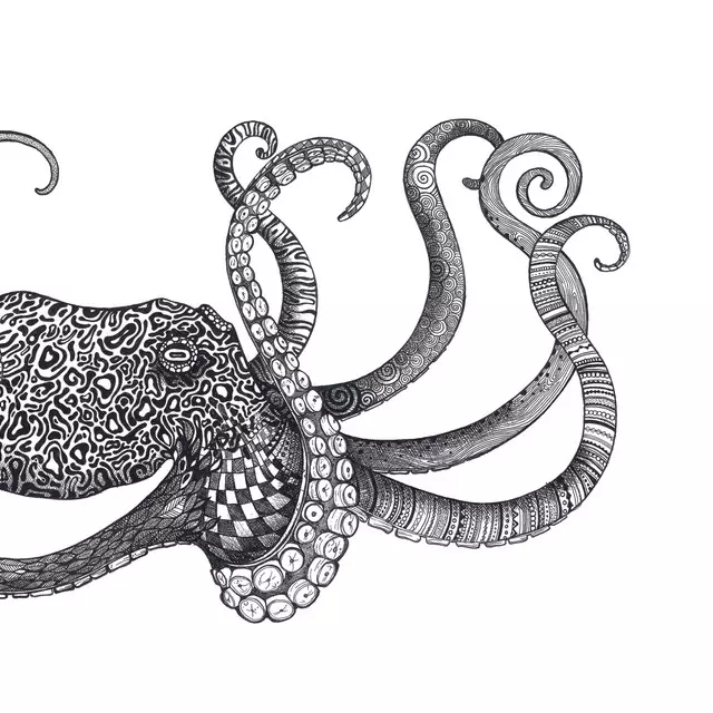 Bettwäsche Oktopus