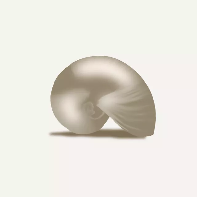 Kissen Muschel Beige