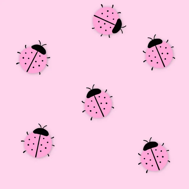 Kissen Marienkäfer Party Pink Big