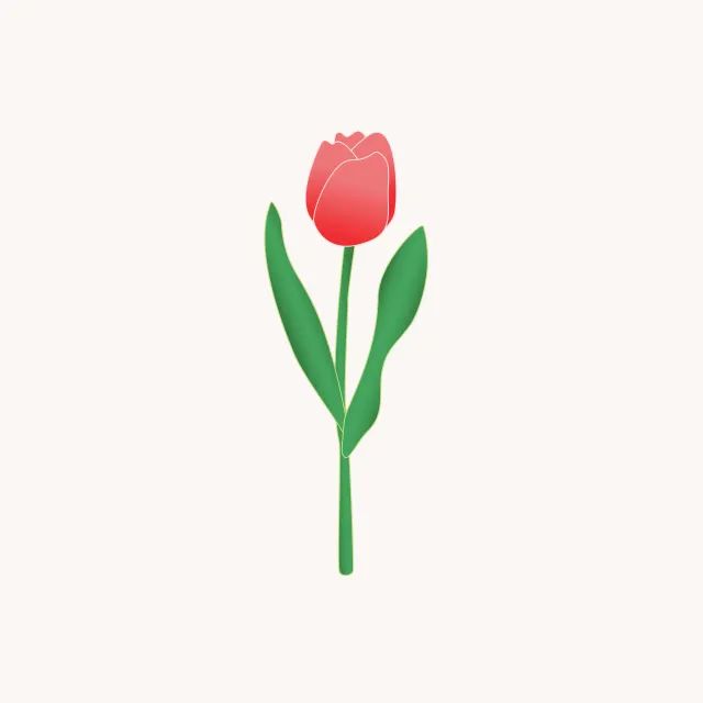Kissen Red Tulip