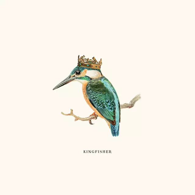 Kissen Kingfisher Vintage