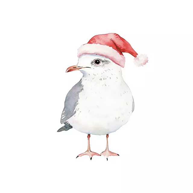 Geschirrtuch Weihnachtsmann Möwe