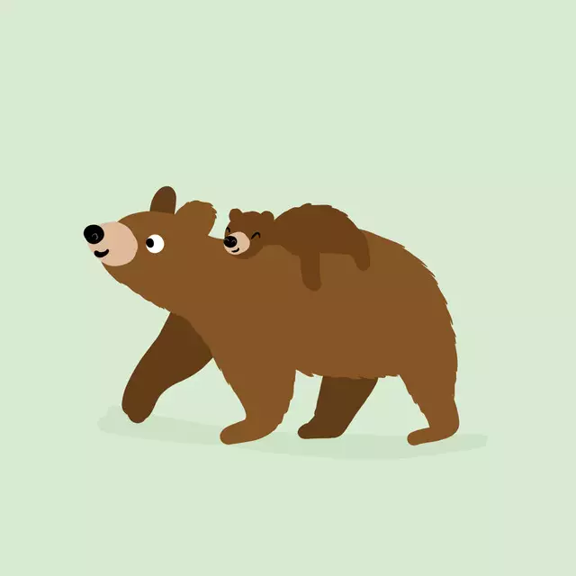 Kissen Baerenstark 1