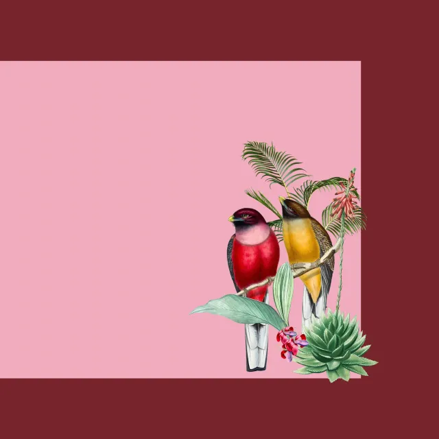 Tischset Tropischer Regenwald pink