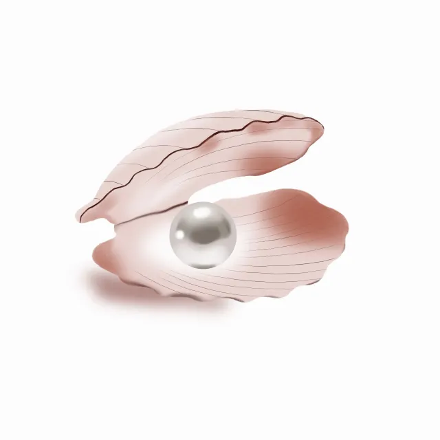 Kissen Muschel mit Perle