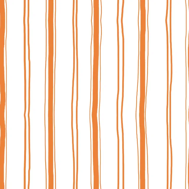 Raffrollo Streifen orange