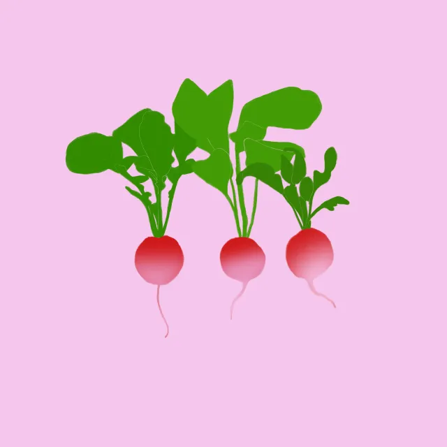 Servietten Radieschen