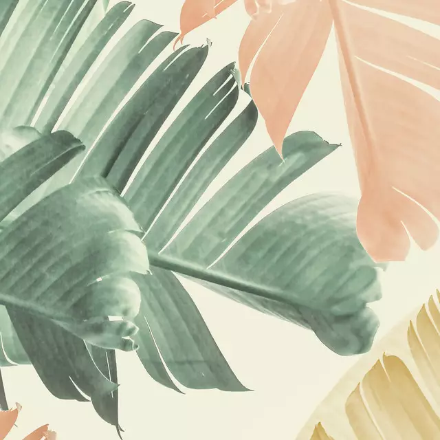 Kissen Pastel Banana Leaf