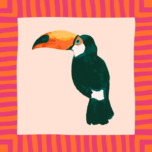 Kissen Tropical Jungle Toucan