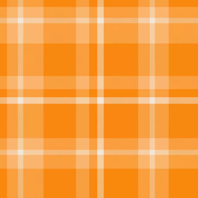 Kissen Plaid Orange