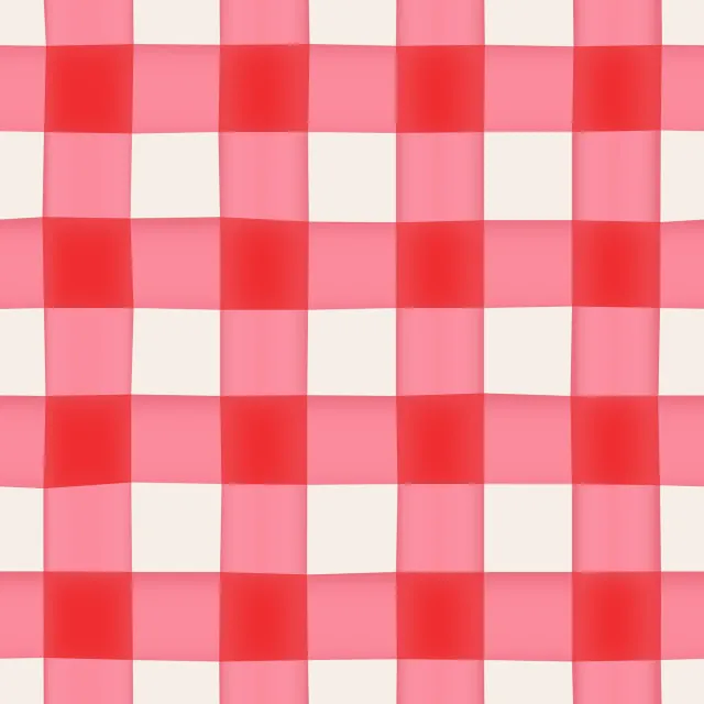 Kissen Picnic Checks red