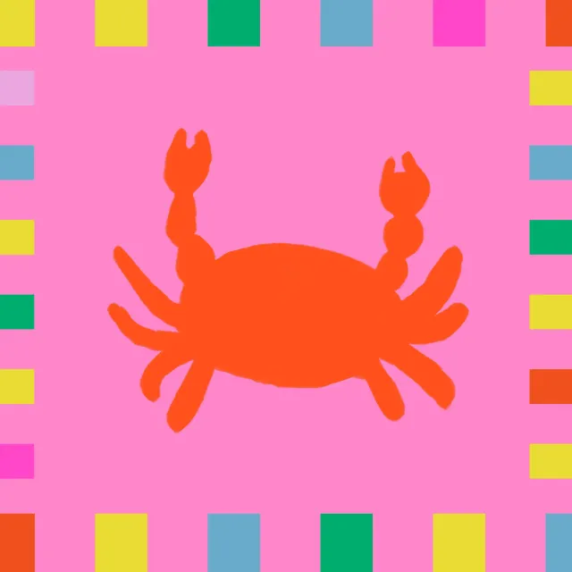 Kissen Krebs Bunter Rahmen Pink