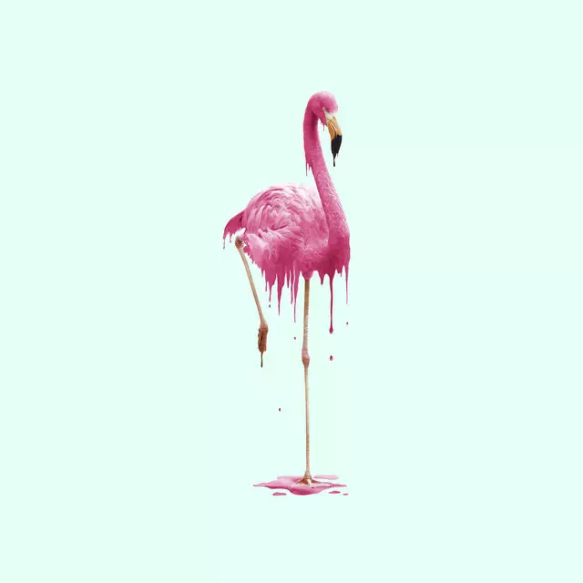 Geschirrtuch Melting Flamingo