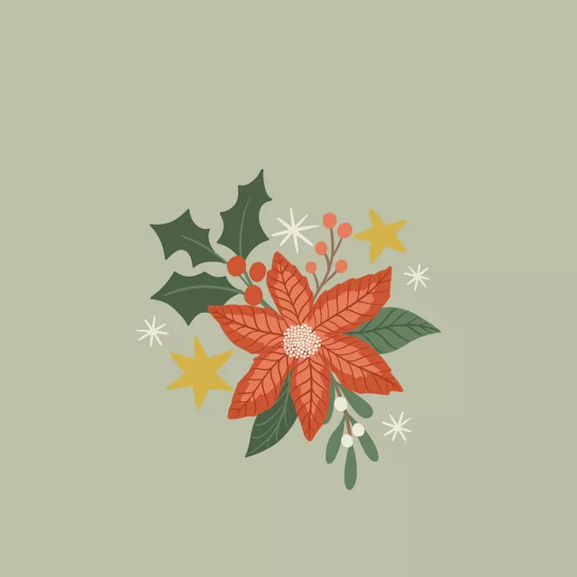 Kissen Weihnachtsstern Grün