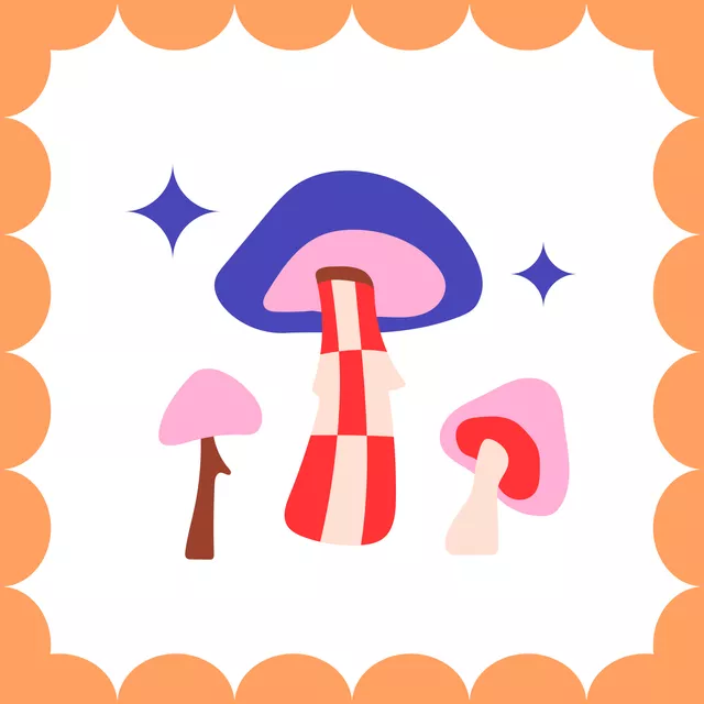 Kissen Mushrooms with Magic